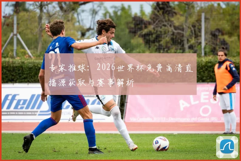 专家推球：2026世界杯免费高清直播源获取与赛事解析
