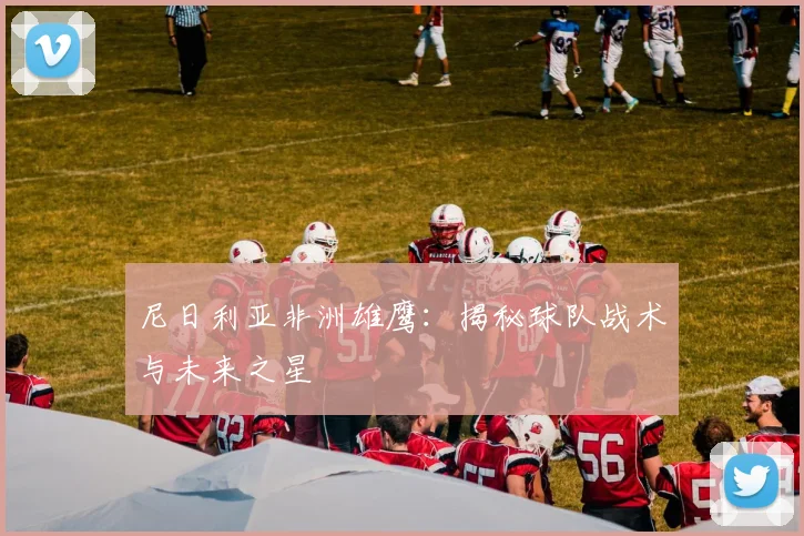 尼日利亚非洲雄鹰：揭秘球队战术与未来之星