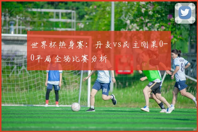 世界杯热身赛：丹麦vs民主刚果0-0平局全场比赛分析