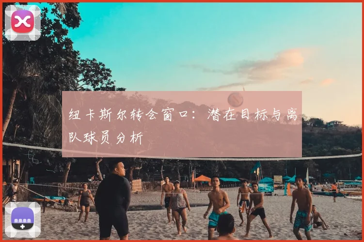 纽卡斯尔转会窗口：潜在目标与离队球员分析