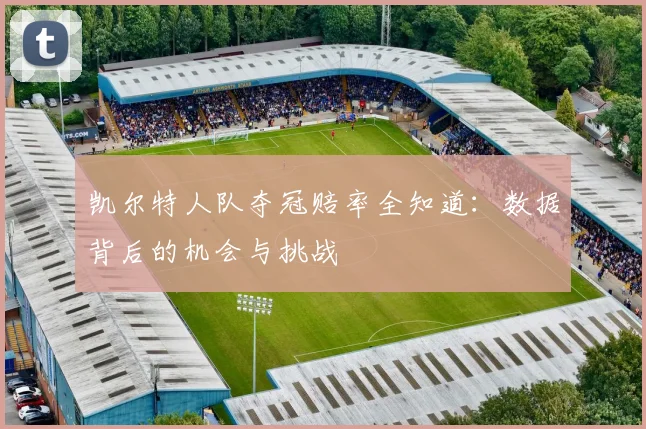凯尔特人队夺冠赔率全知道：数据背后的机会与挑战